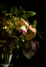 Load image into Gallery viewer, Floral Bouquet Pre-Order