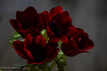 Load image into Gallery viewer, Floral Bouquet Pre-Order