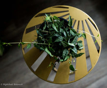 Load image into Gallery viewer, String of Arrows