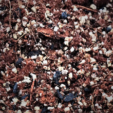 Load image into Gallery viewer, Pray for Us Blend