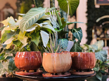 Load image into Gallery viewer, Pumpkin Pots