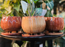 Load image into Gallery viewer, Pumpkin Pots