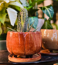 Load image into Gallery viewer, Pumpkin Pots