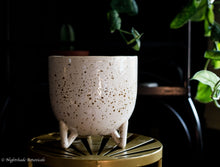Load image into Gallery viewer, Speckled 6&quot; footed pot
